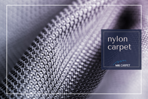 nylon carpet in mr carpet