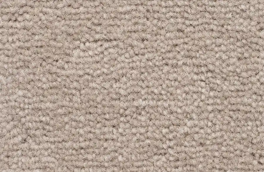plush carpet example